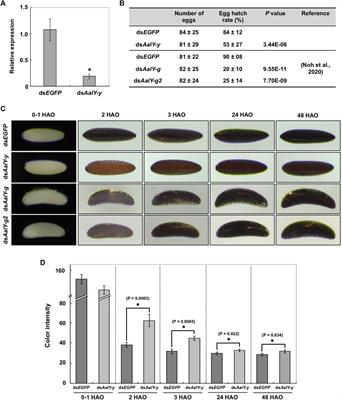 Yellow-y Functions in Egg Melanization and Chorion Morphology of the Asian Tiger Mosquito, Aedes albopictus
